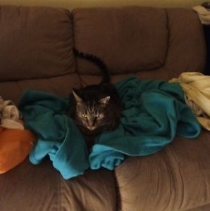 Meet your Posher, Angela